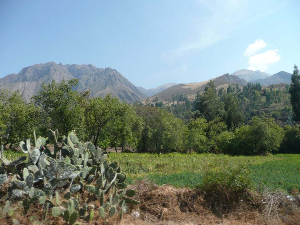Sacred valley 2                 